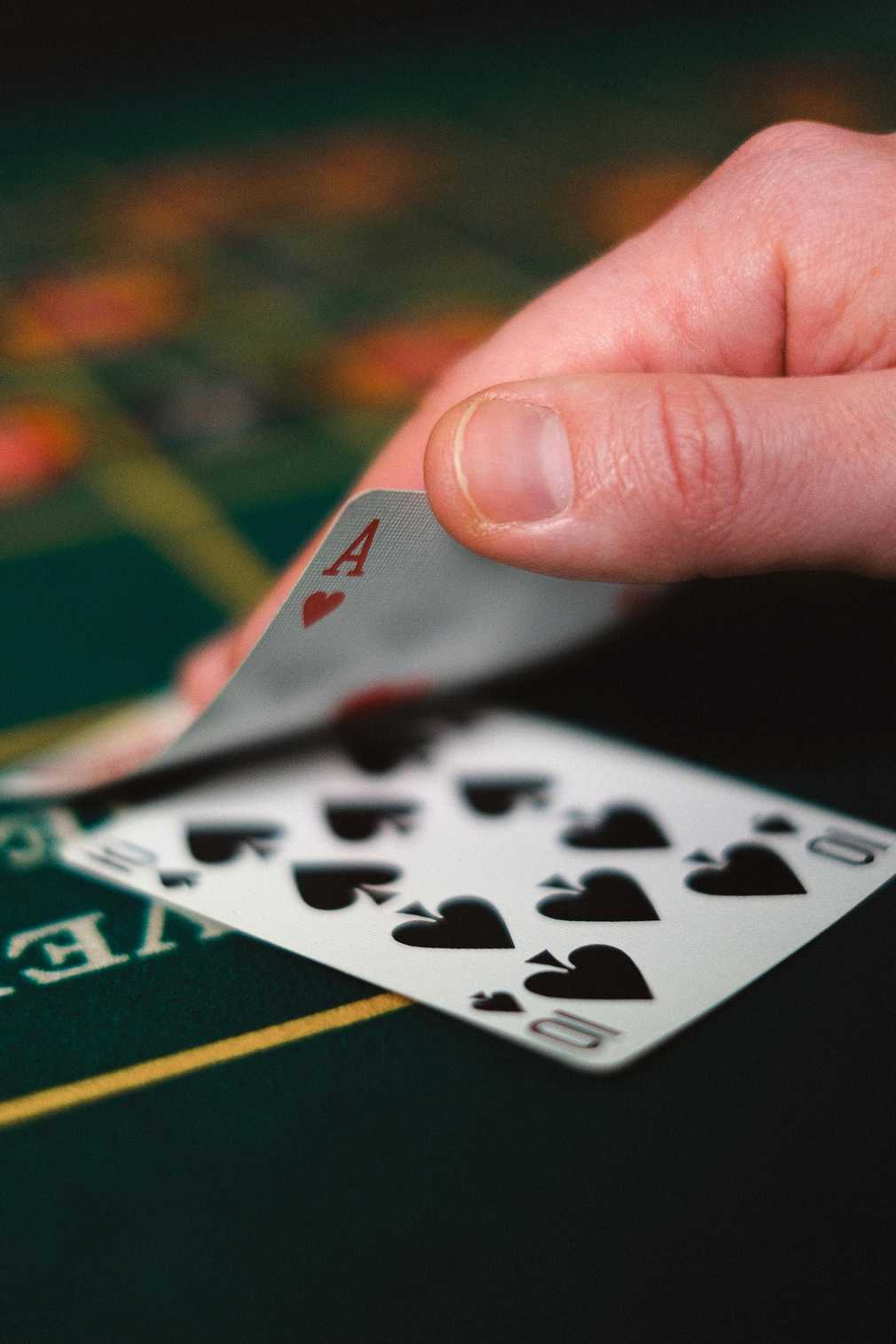 Raptor Casino_recension: En detaljerad analys